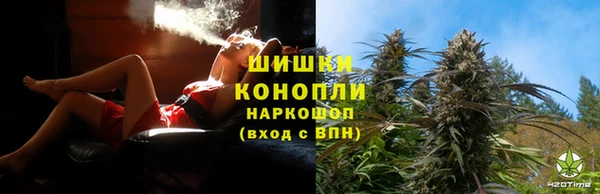 дурь Гусев