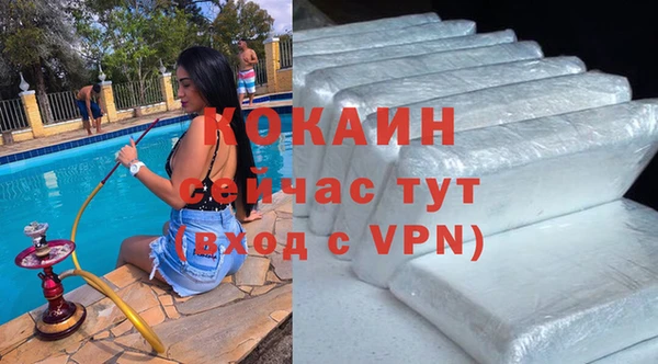 дурь Гусев