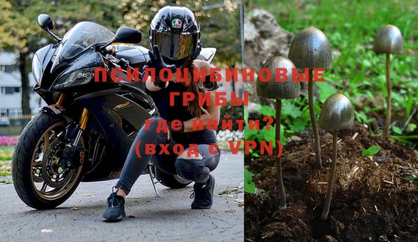 apvp Гусиноозёрск