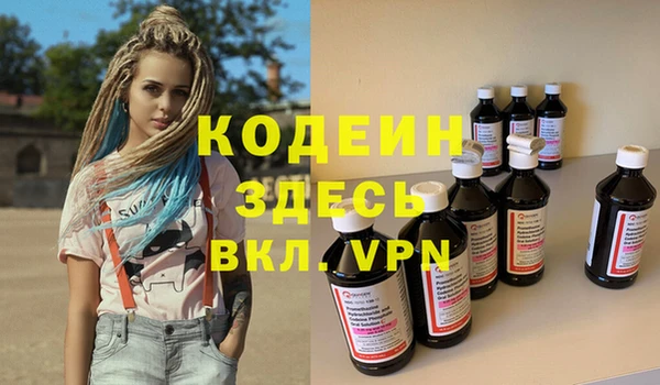 дурь Гусев