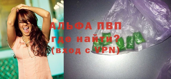 apvp Гусиноозёрск