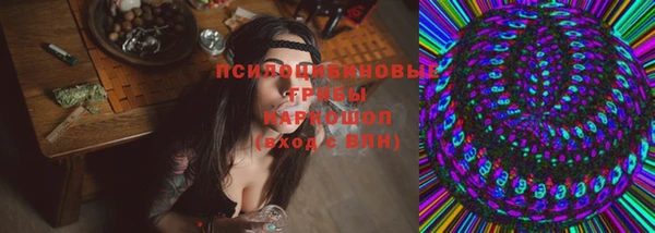 дурь Гусев